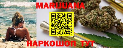 индика Гусь-Хрустальный