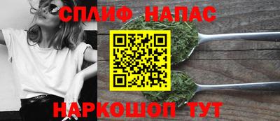 a pvp Гусев