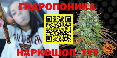 сатива Гусиноозёрск