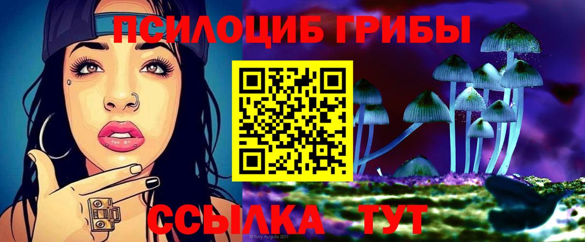 Галлюциногенные грибы Psilocybine cubensis  Галлюциногенные грибы MAGIC MUSHROOMS  Свободный  Вход с VPN 