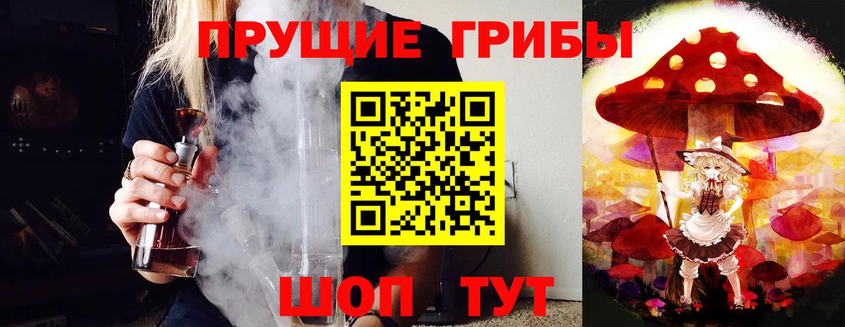 Галлюциногенные грибы Psilocybe Свободный